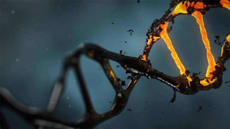 Revealing how an ancient genetic invader inhabits our DNA