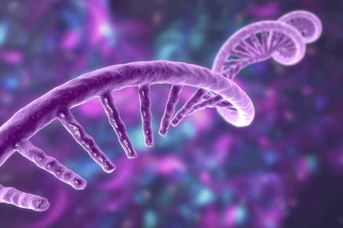 Las mutaciones genéticas que favorecen la reproducción tienden a acortar la vida humana