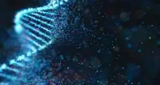 Desarrollan un interruptor para activar y desactivar genes: un paso hacia una terapia génica más segura