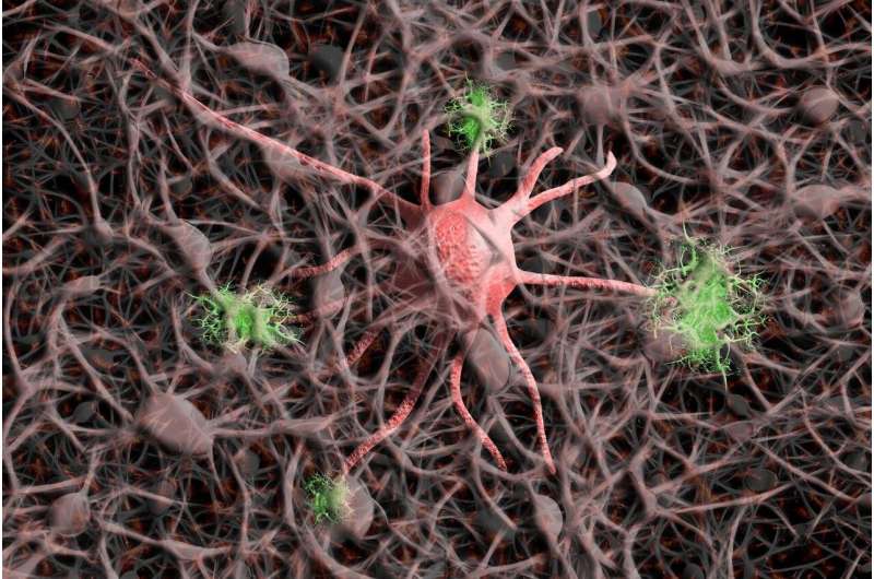 Variants in synaptic scaffolding protein PPFIA3 discovered to cause new syndromic neurodevelopmental disorder
