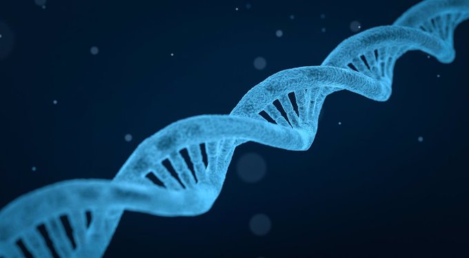 Una técnica pionera revela una nueva capa de regulación genética humana